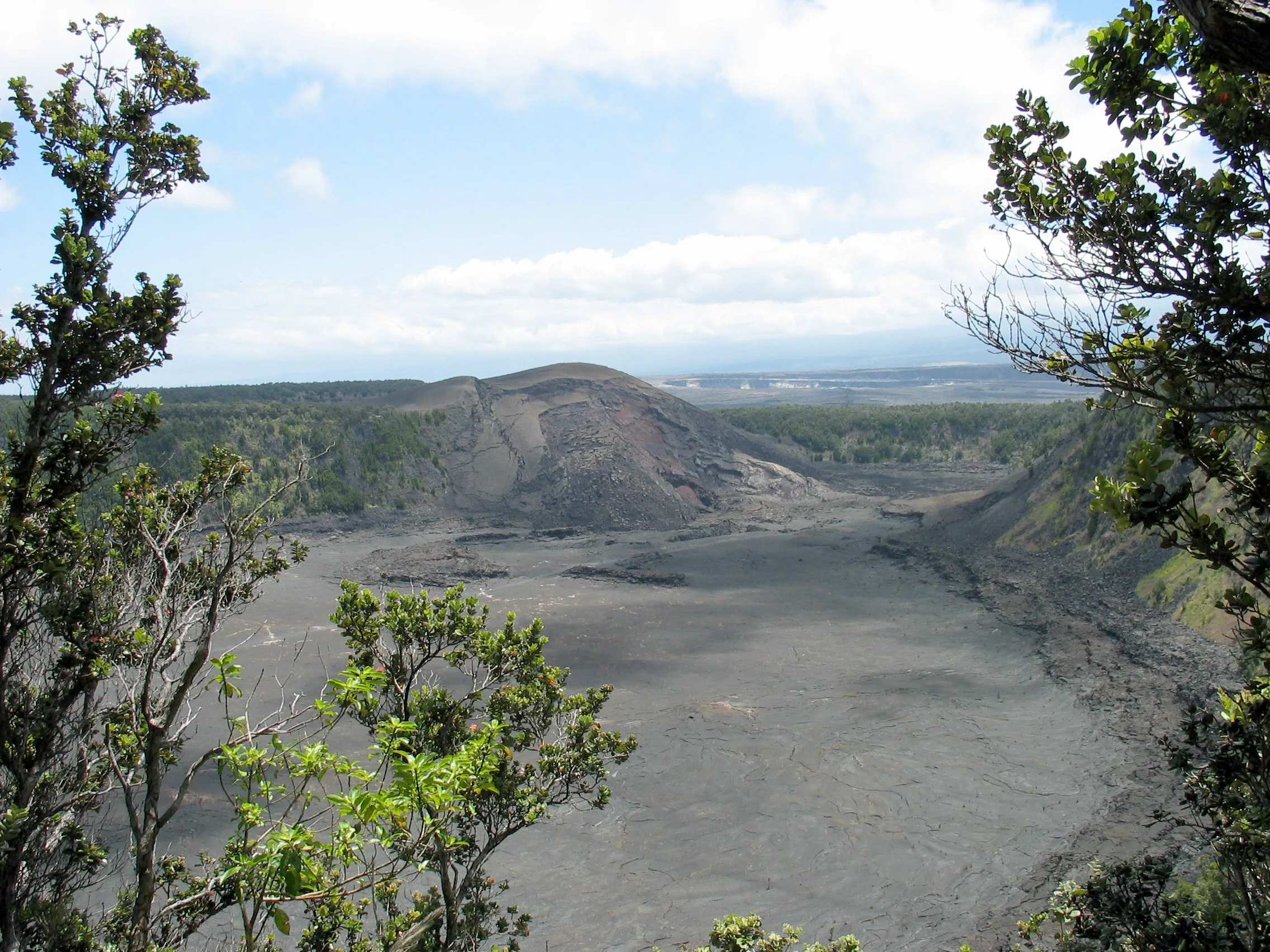 View from the Kīlauea Iki Overlook, with the dark crater framed by native vegetation in Hawaiʻi Volcanoes National Park