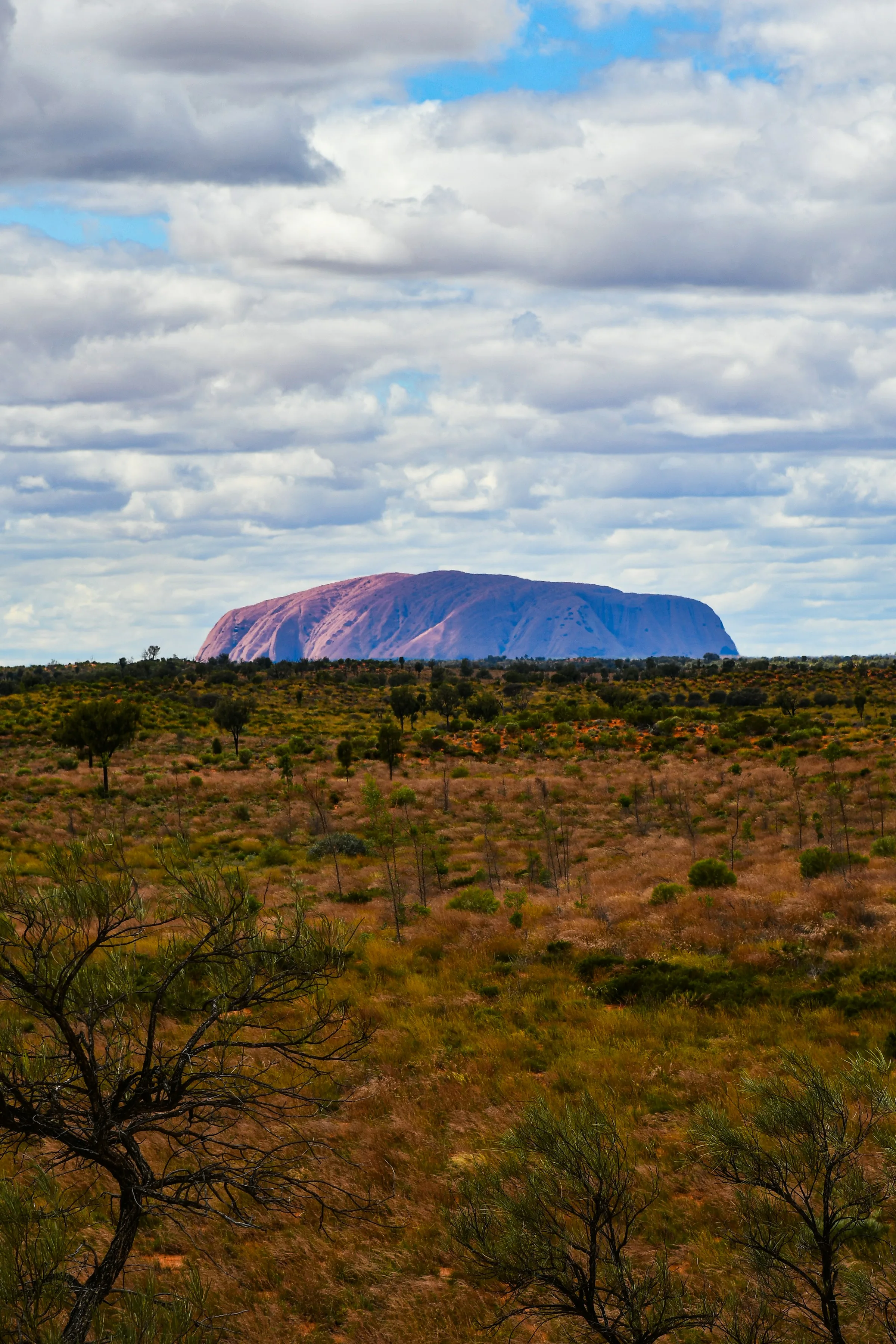 Uluru viewed from an approved public viewpoint in warm evening light