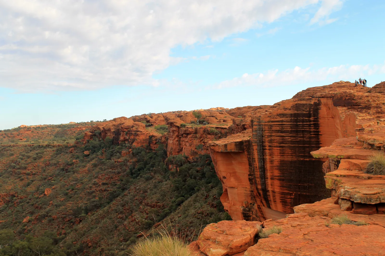 Kings Canyon north wall and rim landscape in Watarrka National Park